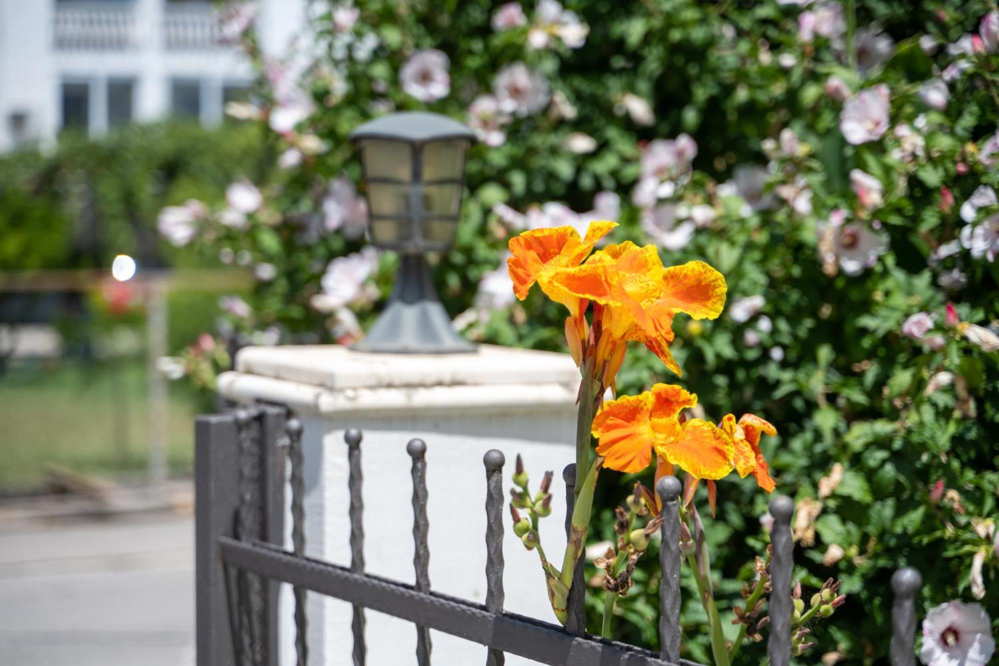 Villa Antonio Ulcinj Eksteriør bilde