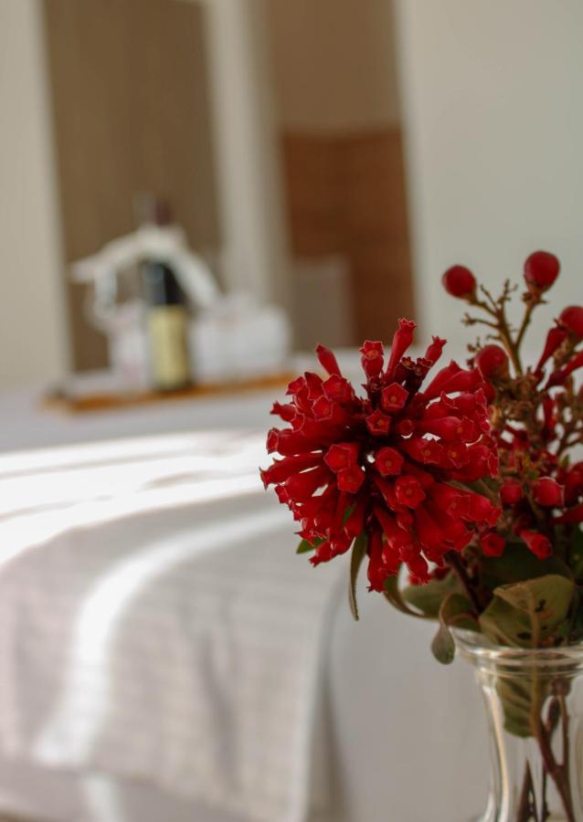 Villa Antonio Ulcinj Eksteriør bilde